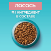 Сухой корм для стерилизованных кошек и кастрированных котов, с высоким содержанием лосося и пшеницей купить в Москве