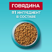 Сухой корм для стерилизованных кошек и кастрированных котов, с высоким содержанием говядины и пшеницей купить в Москве