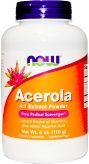 Acerola Powder купить в Москве