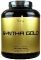 Syntha Gold купить в Москве