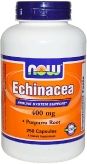 Echinacea Root 400 мг купить в Москве