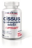 Cissus Quadrangularis Extract Capsules купить в Москве