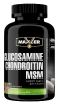 Glucosamine Chondroitin MSM купить в Москве