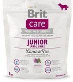 Junior Large Breed Lamb & Rice купить в Москве